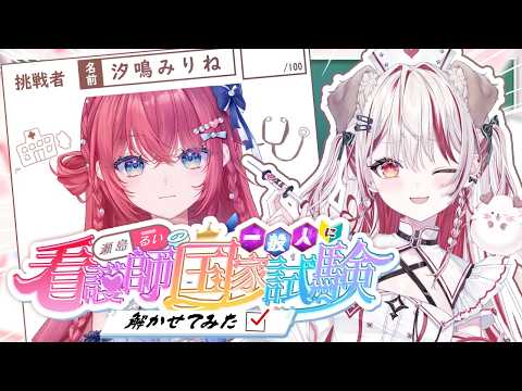 瀬島るい / Rui Channel 【ななしいんく】