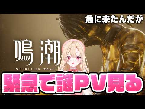 羅々華セーラ-Raraka Sera-