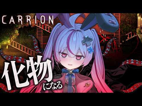 Tomari Mari channel / 兎鞠まりちゃんねる