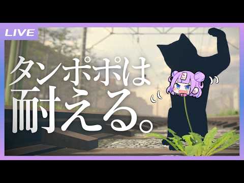 キョンシーのCiちゃん