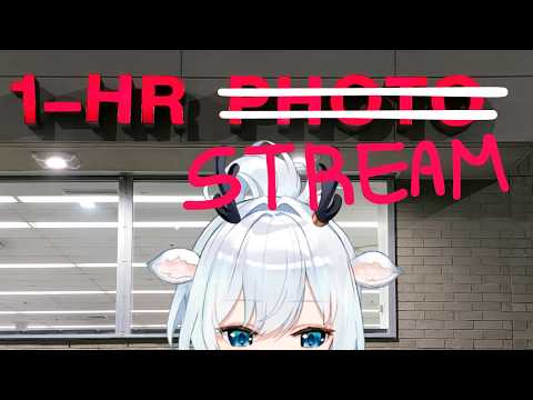 Iori Ch. 白鹿いおり【Phase Connect】