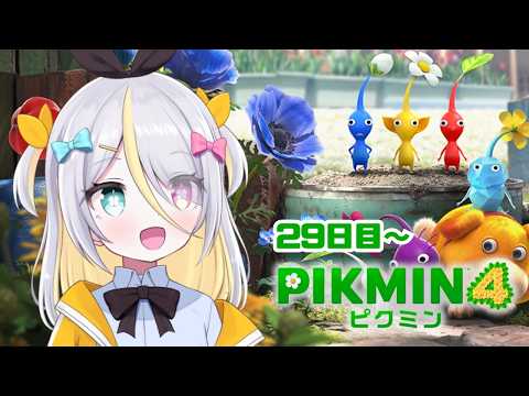 蜂蜜ぷりん / Hachimitsu Purin