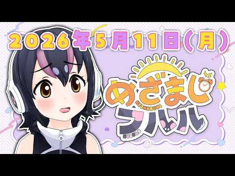 フンボルトペンギン / Humboldt Penguin