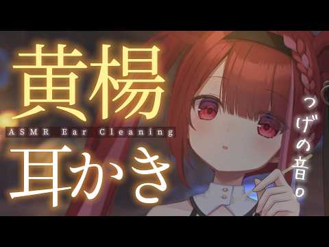 Yuni CH. 切熊ゆに