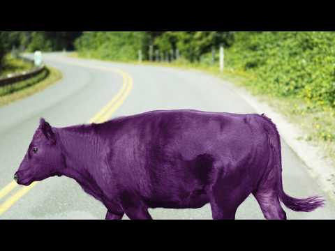 Muyu Ch. むうむゆ【Phase Connect】