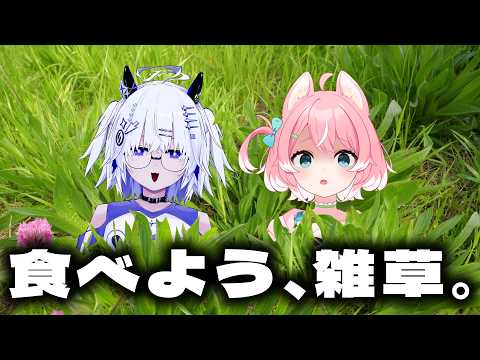 【雑草…】河川敷の「野草」が天ぷらに?!予想できない味ばかり!!【VEE/亞生うぱる】