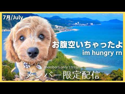 【メン限 members only】7月より8月の方が夏って感じするよね【白鹿いおり Phase Connect】