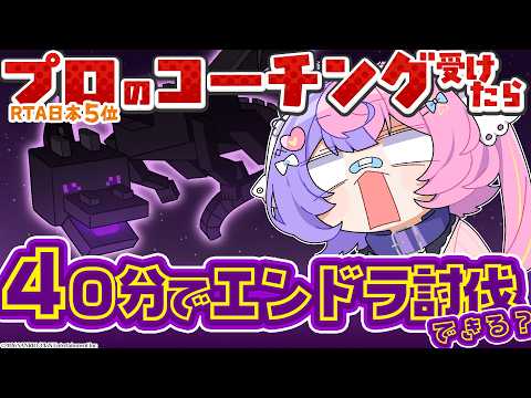 若魔藤あんず