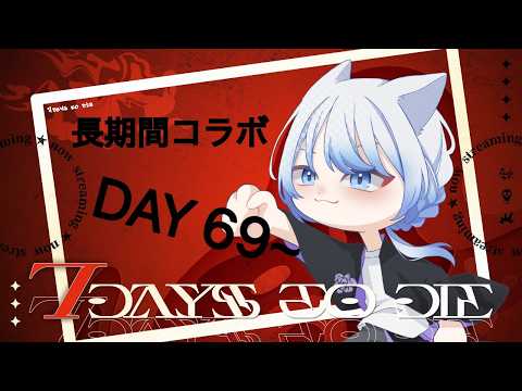 白布ひとめ