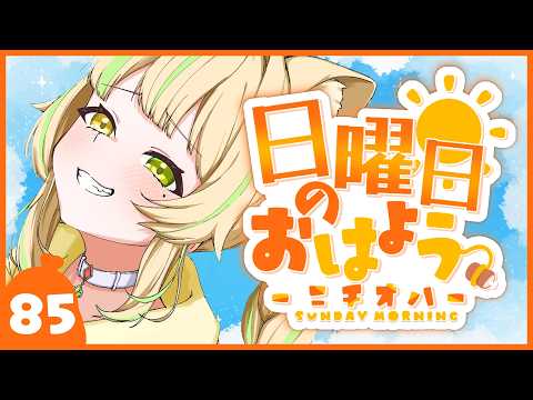 座敷わらび / Zashiki Warabi