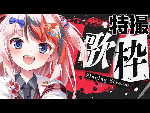 らんちぅ寿希Live