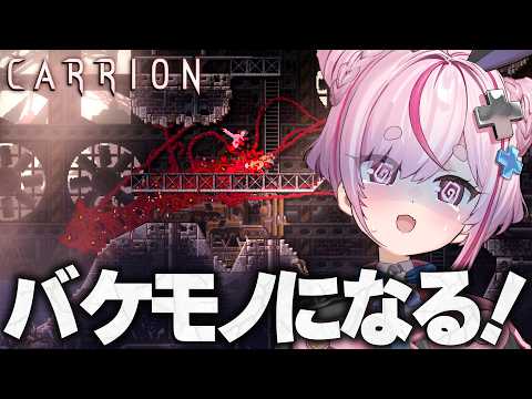 Tomari Mari channel / 兎鞠まりちゃんねる