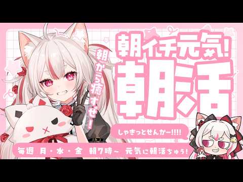 数寄屋橋れんげ / Sukiyabashi Renge