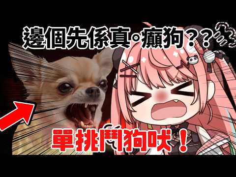 米亞 Mya