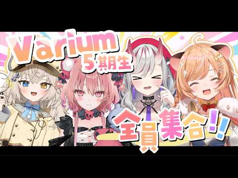 Pota Ch. 向日守ぽた
