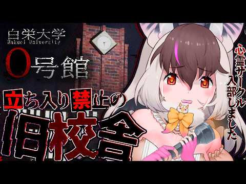 ウサギコウモリ / Brown Long-eared Bat