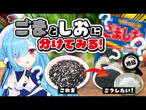 〖 カメラあり仕分け 〗祝日なのでごましお、「ごま」と「しお」に分けてみよう💡┊どっとライブ #ヤマトイオリ