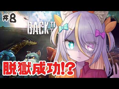 蜂蜜ぷりん / Hachimitsu Purin