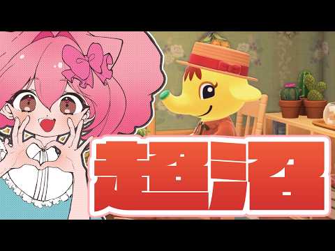 HaNaTan Music Channel