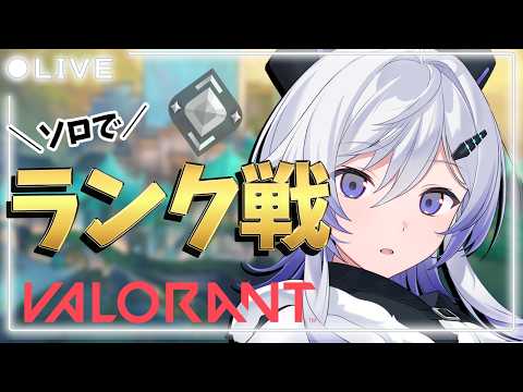 漆八ぷてら / Shichihachi Putera
