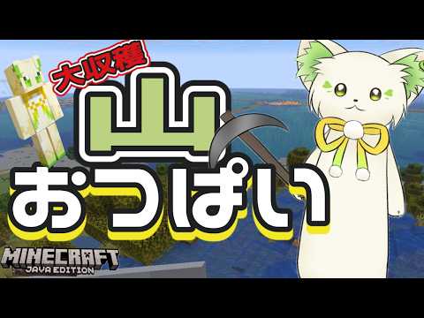 コマチ ガブ / Komachi Gabu