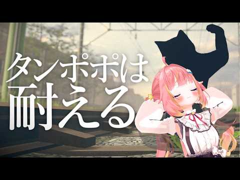飛良ひかり / Hikari Channel【ななしいんく】