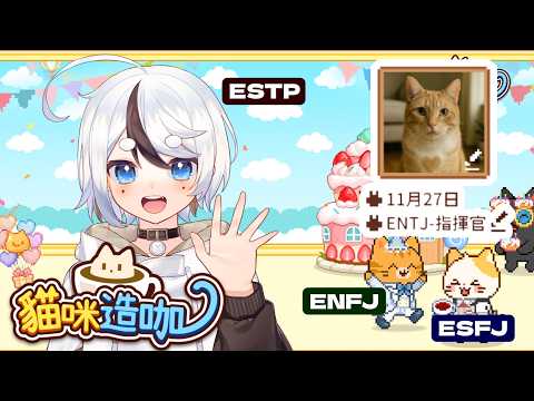 貓咪竟然也有MBTI ! ?《貓咪造咖》24小時擼貓不間斷☕超療癒午茶時光🐾