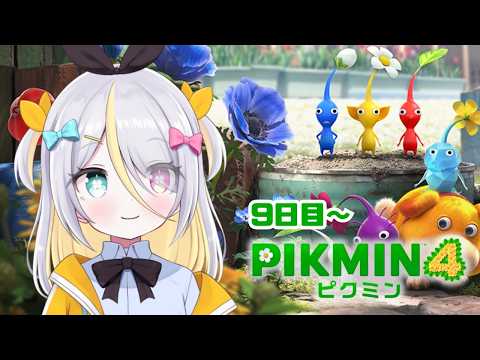 蜂蜜ぷりん / Hachimitsu Purin