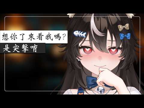 Pabo ch. 帕豹