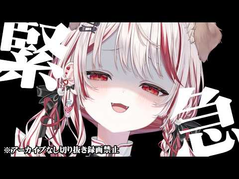 瀬島るい / Rui Channel 【ななしいんく】