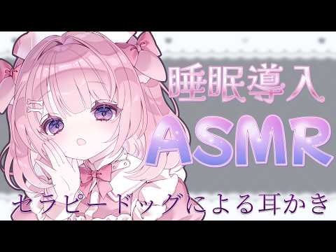 桃犬こころ-Towan Kokoro-
