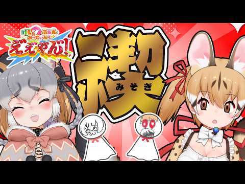シマハイイロギツネ / Island Fox