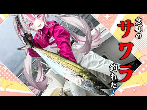 【雑談】初見さん大歓迎!サワラリベンジ大成功✨この興奮を伝えたい【#桃川ニジマス / #うおむすめ  】