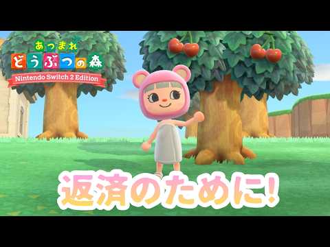 蜂蜜ぷりん / Hachimitsu Purin