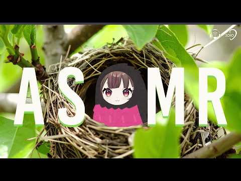 Rie Ch. 姫宮りえ【Phase Connect】