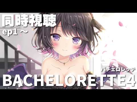 【メン限】バチェロレッテ シーズン4(アマプラ)ep7~同時視聴^^【Vtuber / 恋惡 まよ】
