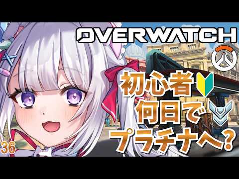 猫羽ころんNekohakoron