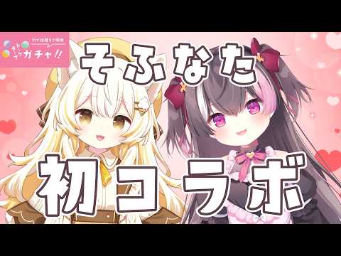 小白井そふと -Koshirai Sofuto-