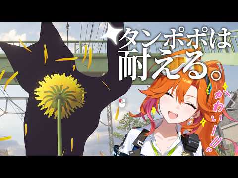 Kyoko Ch. 百灯キョーコ ‐ アソビ★まわり隊!