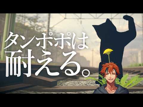 Roberu Ch. 夕刻ロベル