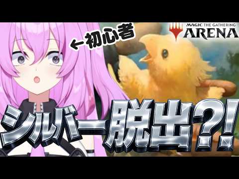 Temakoちゃんねる Game ASMR