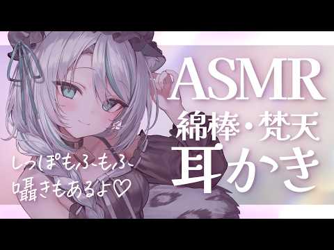 【🔴ASMR #KU100】囁き耳かきASMR|ear cleaning & Whisper【 #雪豹メイドお給仕中 】
