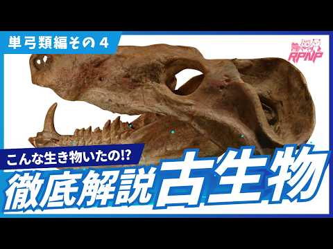 【古生物学】RPNP古生物学ニュース「キノグナトゥスの不思議🦛単弓類編その4」#恐竜 #化石 #解説