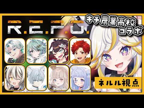 ルルネア=ネルル / Lulunea Neruru