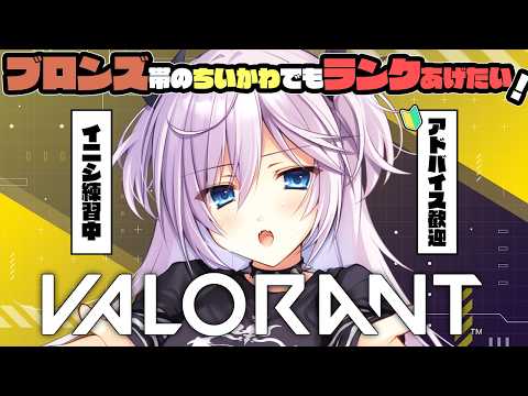 【VALORANT】アドバイス歓迎🔰FPS初心者モクでランク上げるぞ!!【銀灰まお】