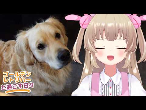【ゴールデンレトリバーと過ごす日々】この世で最も良いとされるゲームの体験版が来た
