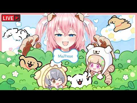 🔴อัพเดต Event ใหม่ Maltese!! | Heartopia