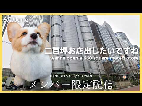 Iori Ch. 白鹿いおり【Phase Connect】