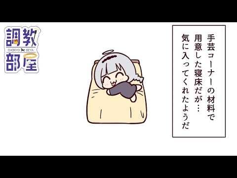 ⋆⸜ 調教部屋  ⸝⋆ 【白百合リリィ / ビビドニア 】