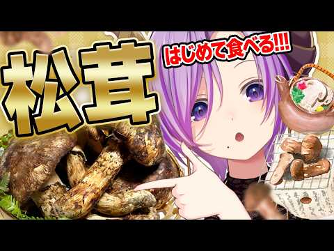 西園寺メアリ / Mary Channel【ななしいんく】